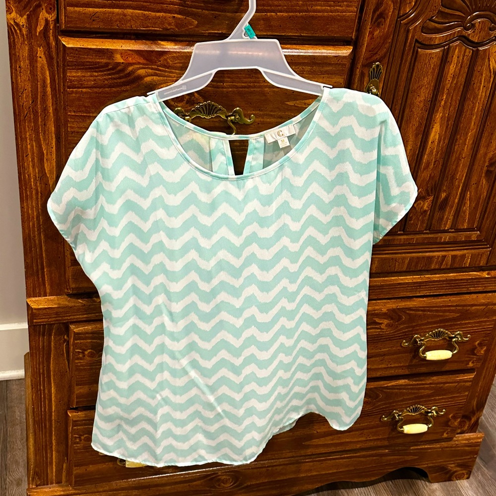 Mint green chevron sheer short sleeve blouse